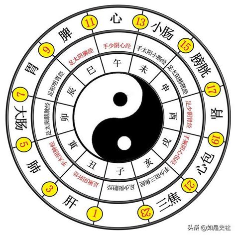 二儀|太極、兩儀、四象、八卦？這篇文章讓你明白它們是什。